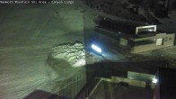 Archiv Foto Webcam Mammoth Mountain: Canyon Express 00:00