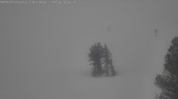 Archived image Webcam Mammoth Mountain - Broadway Express 15:00