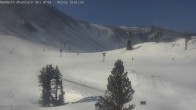 Archived image Webcam Mammoth Mountain - Broadway Express 03:00