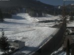 Archived image Webcam Puchi´s kids area in Puchberg am Schneeberg, Lower Austria 11:00