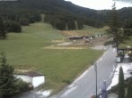 Archived image Webcam Puchi´s kids area in Puchberg am Schneeberg, Lower Austria 11:00
