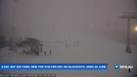 Archiv Foto Webcam Mt Buller: Bourke Street 15:00
