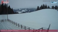 Archiv Foto Webcam Alberschwende: Alpengasthof Brüggele 02:00