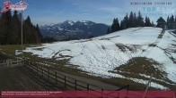 Archiv Foto Webcam Alberschwende: Alpengasthof Brüggele 13:00