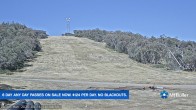 Archiv Foto Webcam Mt Buller: Burnt Hut Spur 09:00