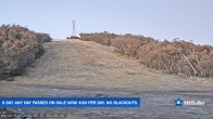 Archived image Webcam Mt Buller - Burnt Hut Spur 05:00
