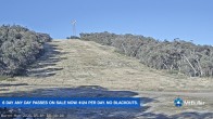 Archived image Webcam Mt Buller - Burnt Hut Spur 07:00