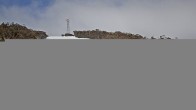 Archiv Foto Webcam Mt Buller: Burnt Hut Spur 09:00