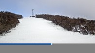 Archiv Foto Webcam Mt Buller: Burnt Hut Spur 14:00