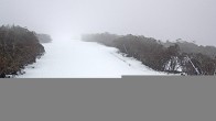 Archived image Webcam Mt Buller - Burnt Hut Spur 07:00