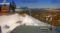 Archiv Foto Webcam Eagles Nest Cafe 11:00