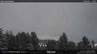 Archived image Webcam "Pale di San Martino", Alpe di Lusia Moena 11:00