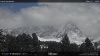 Archived image Webcam "Pale di San Martino", Alpe di Lusia Moena 13:00