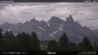 Archived image Webcam "Pale di San Martino", Alpe di Lusia Moena 06:00