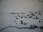 Archiv Foto Webcam Berghaus Heuberge / Fideris 11:00