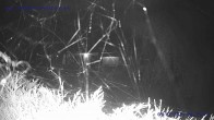 Archiv Foto Webcam St. Gallenkirch, Landhaus Rudigier 23:00