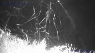 Archiv Foto Webcam St. Gallenkirch, Landhaus Rudigier 01:00