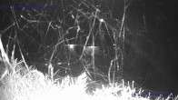 Archiv Foto Webcam St. Gallenkirch, Landhaus Rudigier 23:00