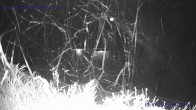 Archiv Foto Webcam St. Gallenkirch, Landhaus Rudigier 18:00