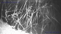 Archiv Foto Webcam St. Gallenkirch, Landhaus Rudigier 01:00