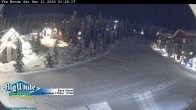 Archived image Webcam Slope Easy Street 01:00