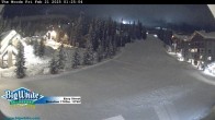 Archiv Foto Webcam Piste Easy Street 01:00