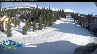 Archiv Foto Webcam Piste Easy Street 06:00