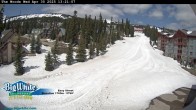 Archiv Foto Webcam Piste Easy Street 14:00