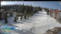Archived image Webcam Slope Easy Street 16:00