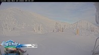 Archiv Foto Webcam The Cliff / Big White Ski Resort 09:00