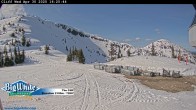 Archived image Webcam The Cliff / Big White Ski Resort 16:00