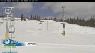 Archived image Webcam Telus Park 14:00