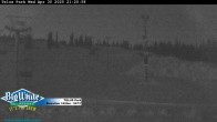 Archiv Foto Webcam Telus Park 21:00