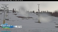 Archiv Foto Webcam Telus Park 23:00