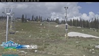 Archived image Webcam Telus Park 14:00