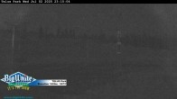 Archived image Webcam Telus Park 00:00