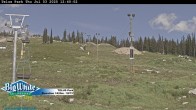 Archived image Webcam Telus Park 12:00