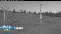 Archiv Foto Webcam Telus Park 02:00