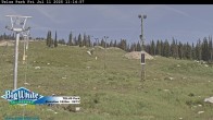Archiv Foto Webcam Telus Park 12:00