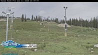 Archiv Foto Webcam Telus Park 14:00