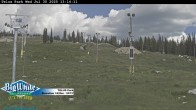 Archiv Foto Webcam Telus Park 14:00