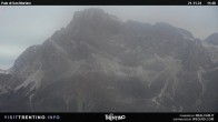 Archiv Foto Webcam Alpe Tognola 11:00