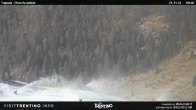 Archived image Webcam Malga Tognola 09:00