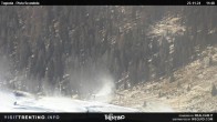 Archived image Webcam Malga Tognola 11:00