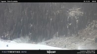 Archived image Webcam Malga Tognola 09:00