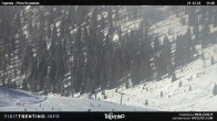 Archived image Webcam Malga Tognola 11:00