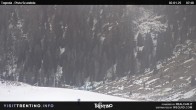 Archived image Webcam Malga Tognola 07:00