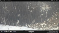 Archived image Webcam Malga Tognola 09:00