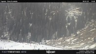 Archived image Webcam Malga Tognola 11:00