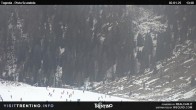 Archived image Webcam Malga Tognola 13:00